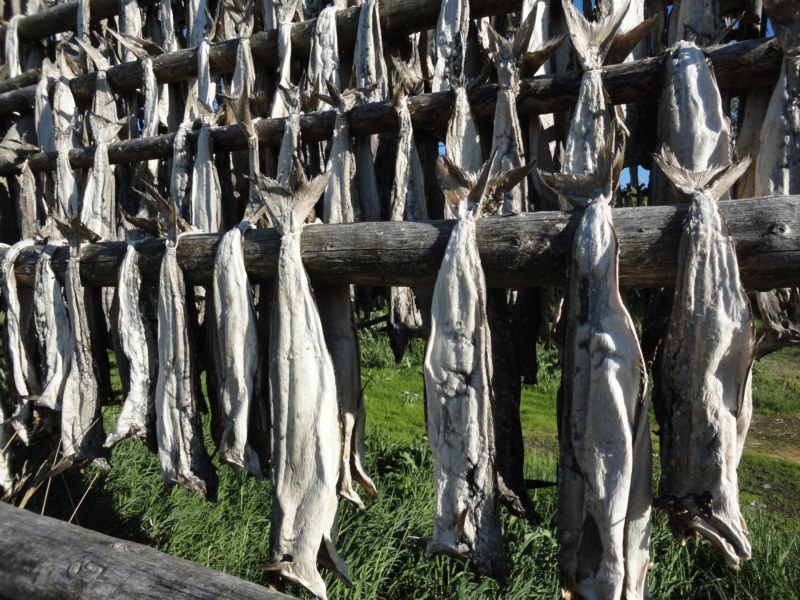 DSC04733 [800x600].jpg