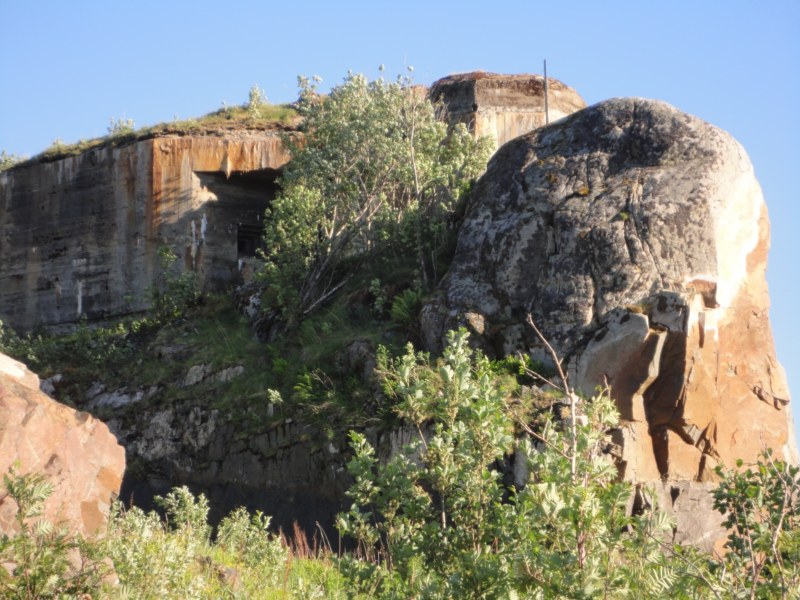 DSC04734 [800x600].jpg