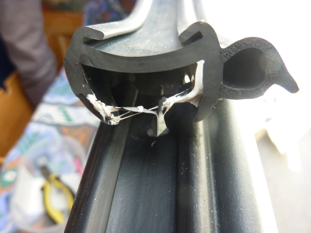 La même photo de profil