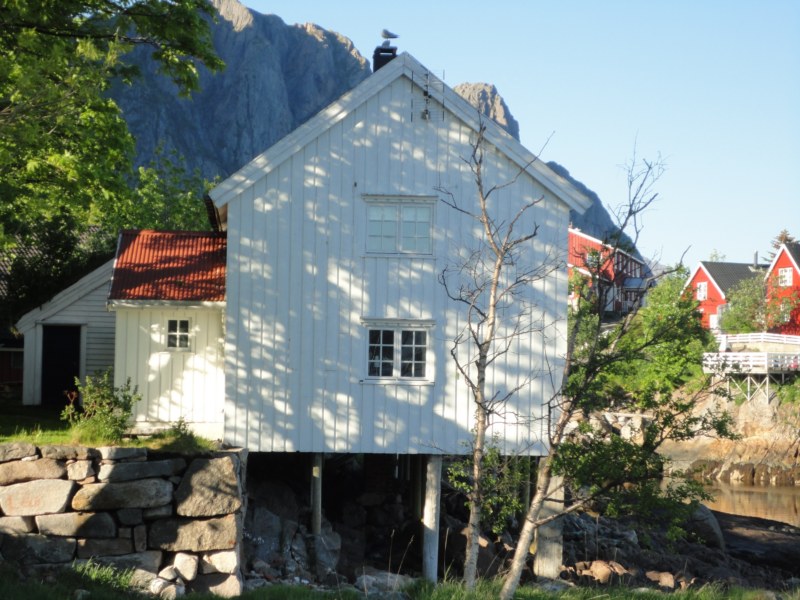 DSC04754 [800x600].jpg