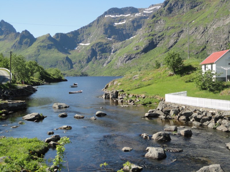 DSC04796 [800x600].jpg