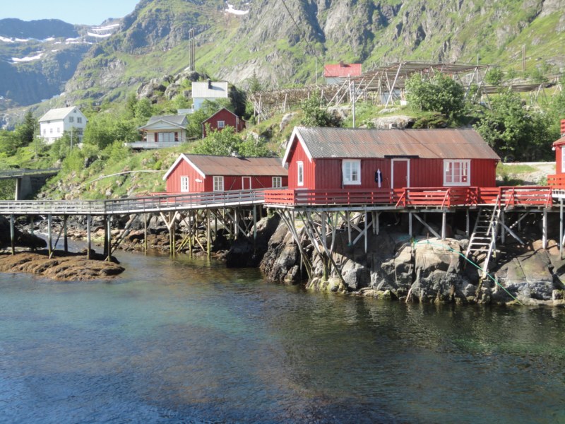 DSC04804 [800x600].jpg