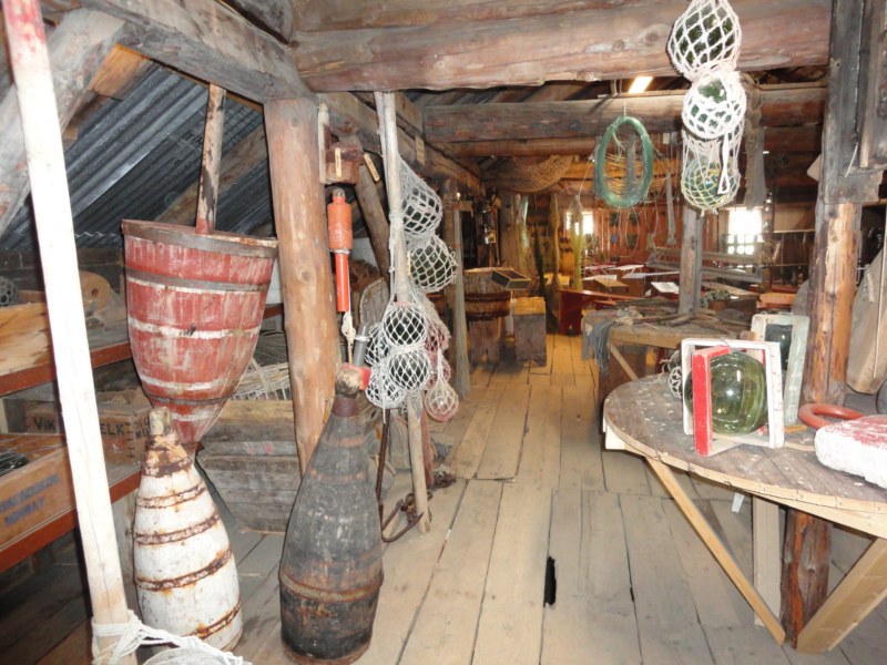 DSC04811 [800x600].jpg