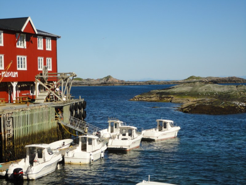 DSC04817 [800x600].jpg