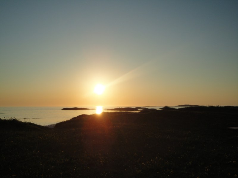 DSC04875 [800x600].jpg