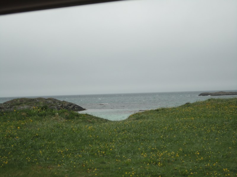 DSC04889 [800x600].jpg