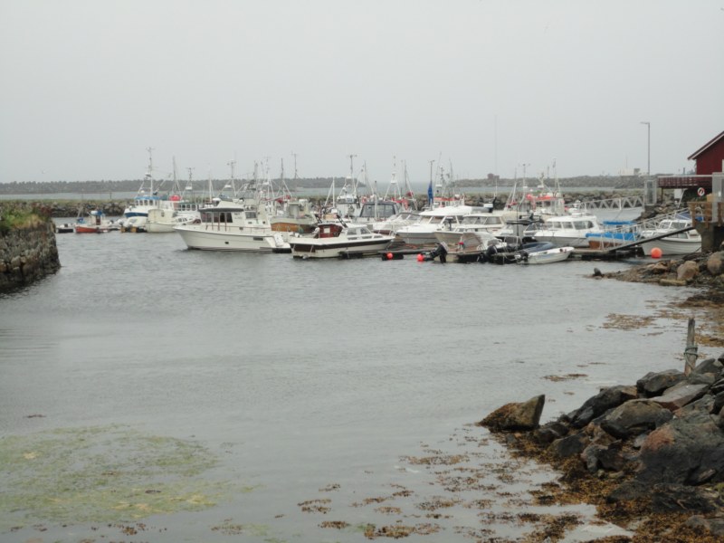 DSC04896 [800x600].jpg