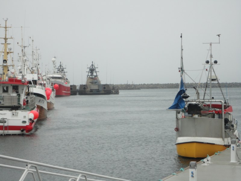 DSC04900 [800x600].jpg