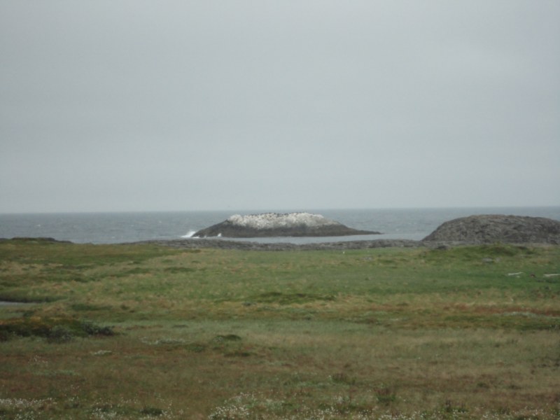 DSC04921 [800x600].jpg