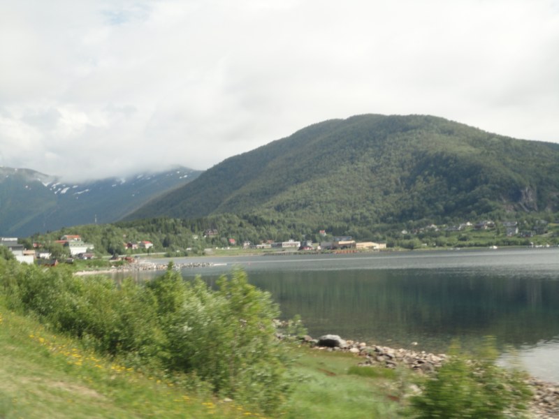 DSC04954 [800x600].jpg