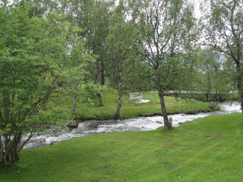 DSC04990 [800x600].jpg