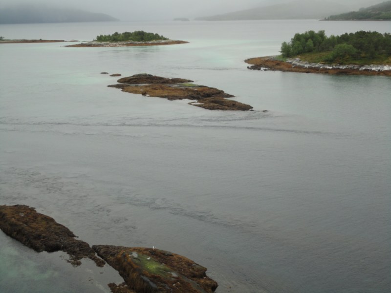 DSC04994 [800x600].jpg