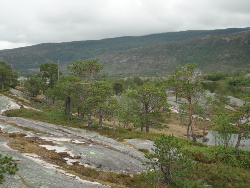 DSC05012 [800x600].jpg