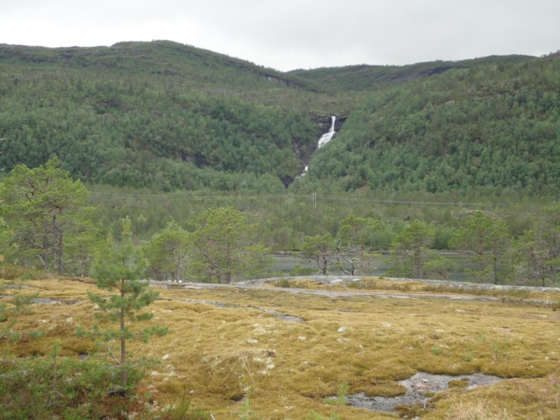 DSC05015 [800x600].jpg