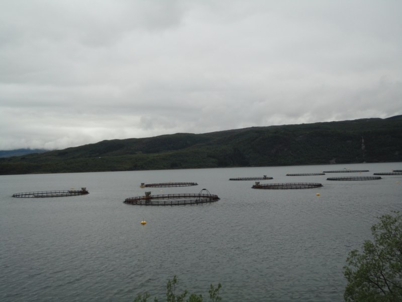 DSC05048 [800x600].jpg