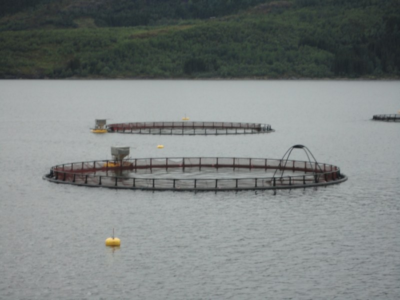 DSC05049 [800x600].jpg