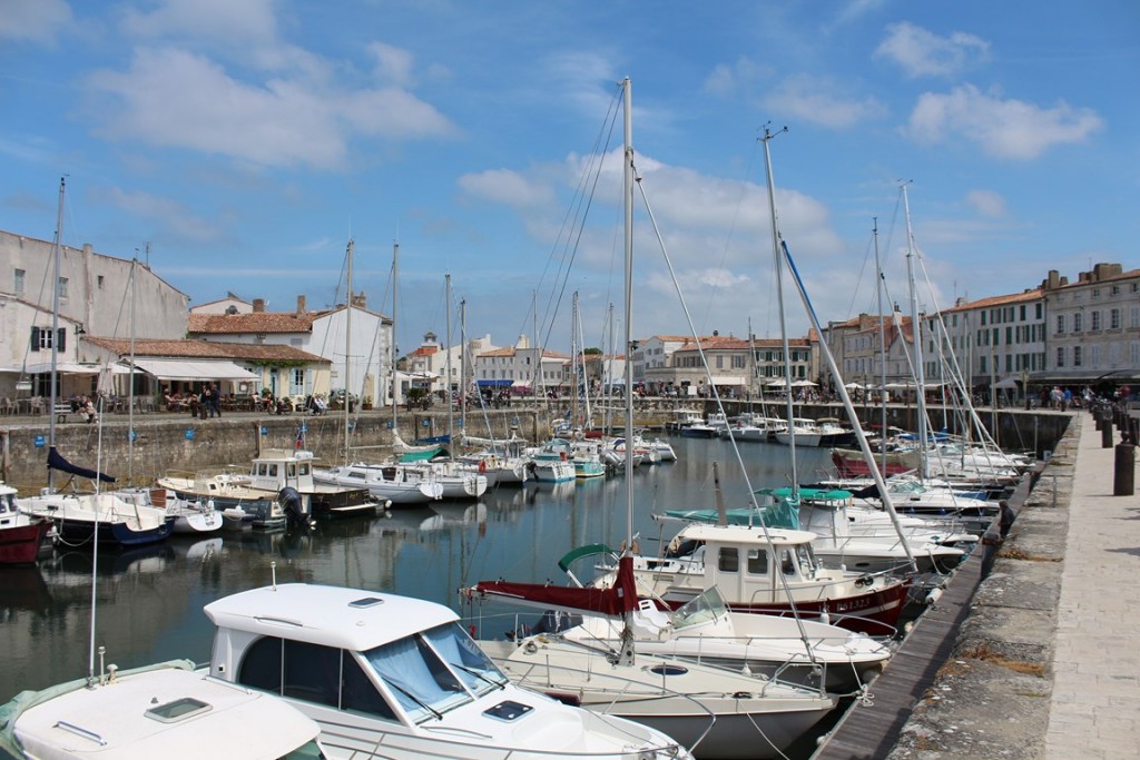 îlederé2013 026 (Copier).JPG