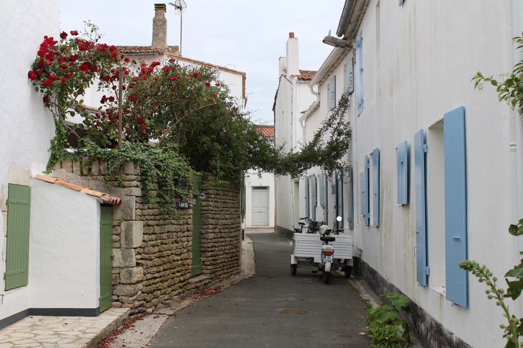 îlederé2013 127 (Copier).JPG