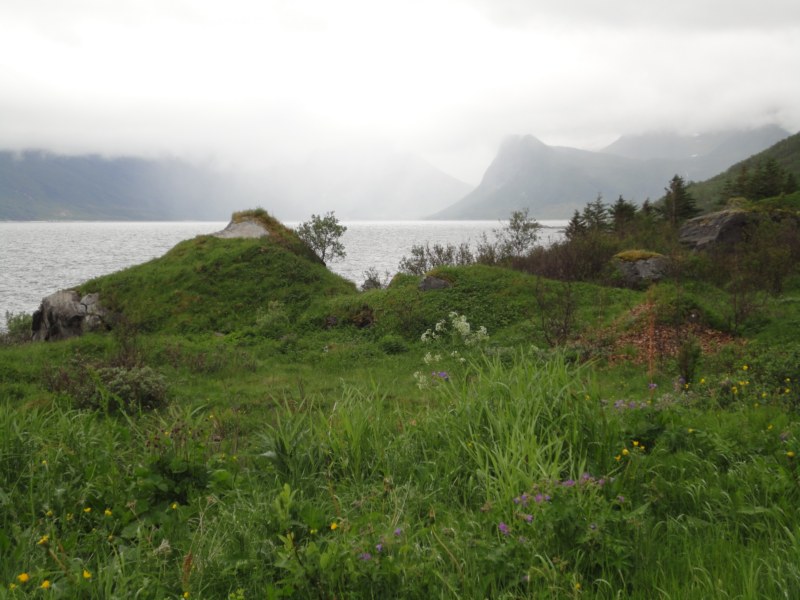 DSC05084 [800x600].jpg