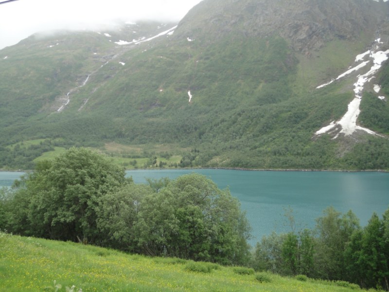 DSC05098 [800x600].jpg