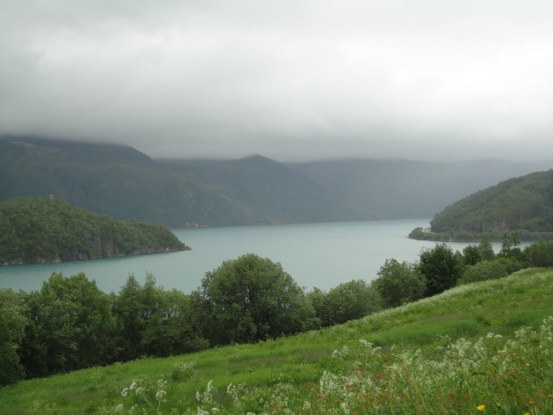 DSC05099 [800x600].jpg