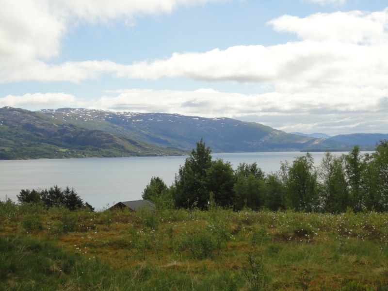 DSC05171 [800x600].jpg