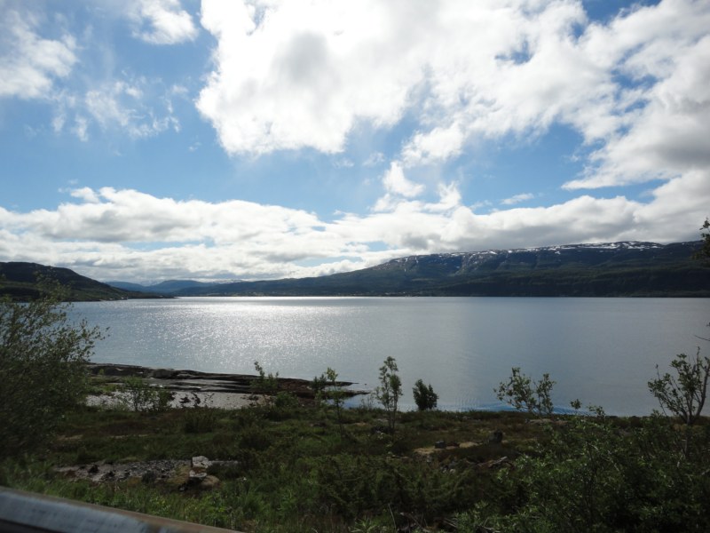 DSC05175 [800x600].jpg