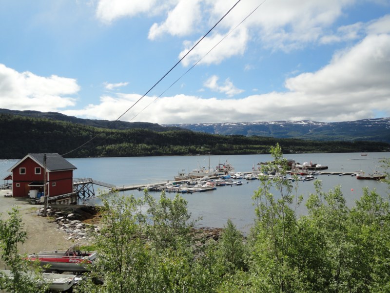 DSC05181 [800x600].jpg