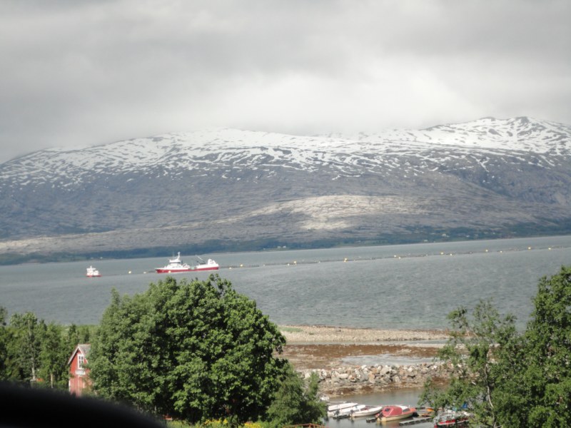 DSC05183 [800x600].jpg