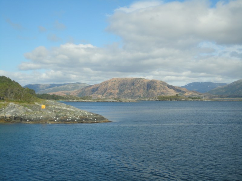 DSC05211 [800x600].jpg