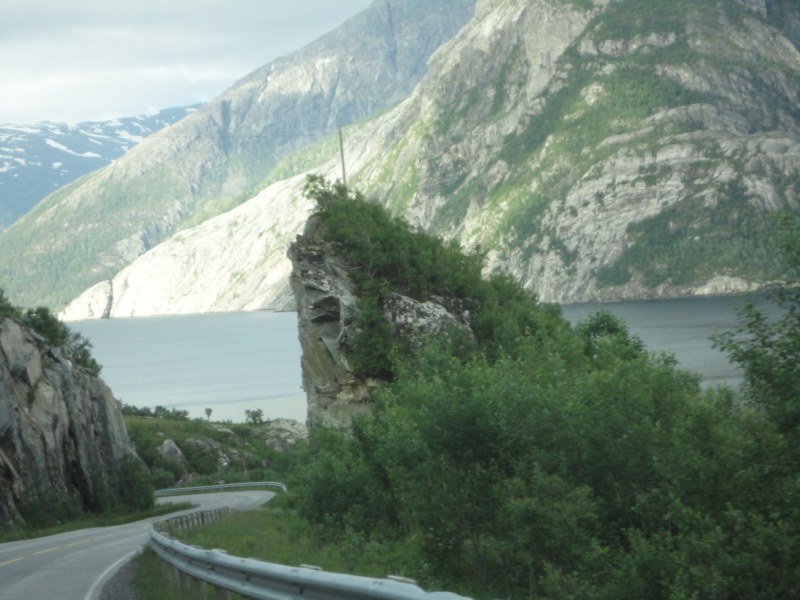 DSC05234 [800x600].jpg