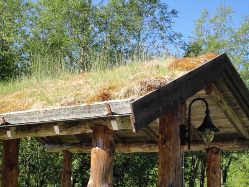 DSC05247 [800x600].jpg