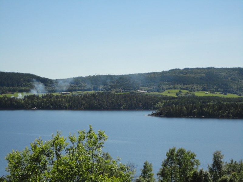 DSC05252 [800x600].jpg