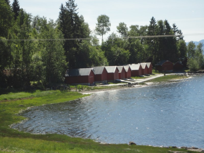 DSC05260 [800x600].jpg