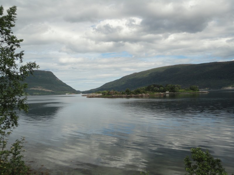 DSC05308 [800x600].jpg