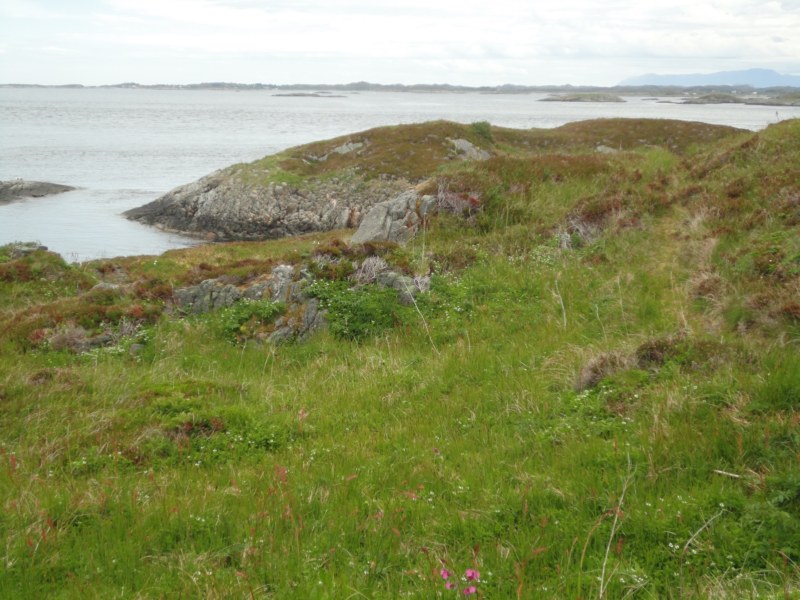 DSC05324 [800x600].jpg