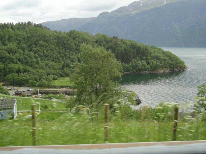 DSC05336 [800x600].jpg