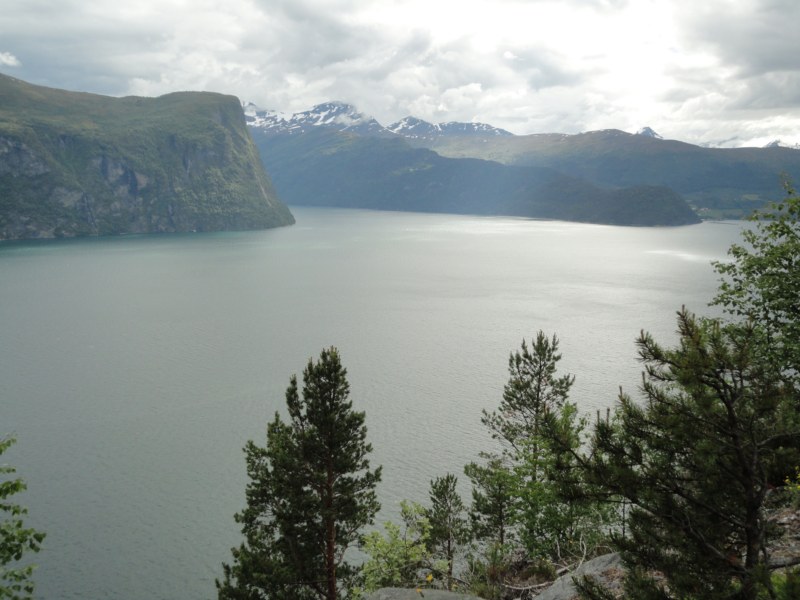 DSC05345 [800x600].jpg