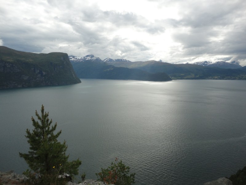 DSC05348 [800x600].jpg