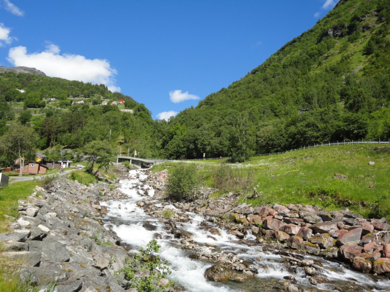 DSC05382 [800x600].jpg