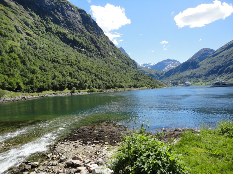 DSC05386 [800x600].jpg