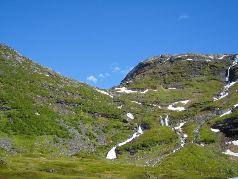 DSC05415 [800x600].jpg