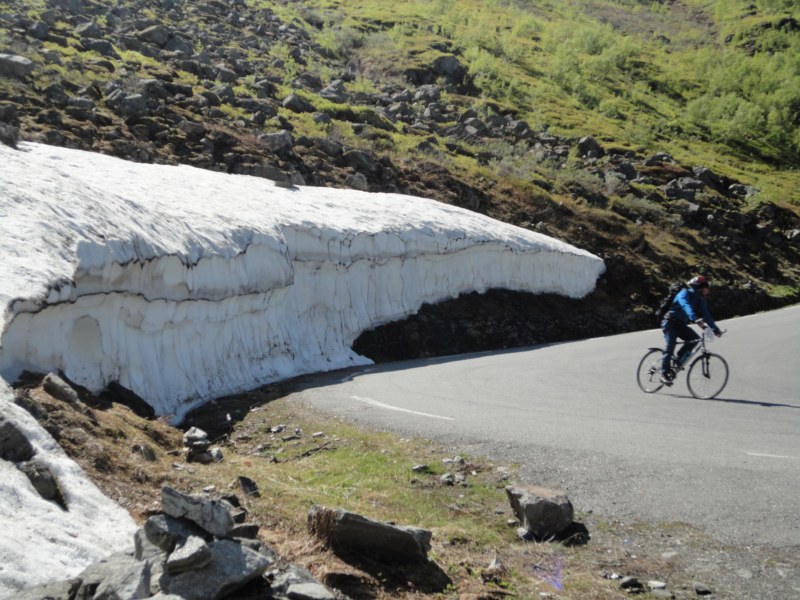 DSC05419 [800x600].jpg