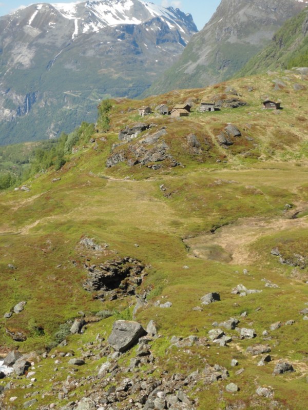 DSC05421 [800x600].jpg