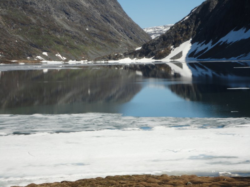 DSC05428 [800x600].jpg