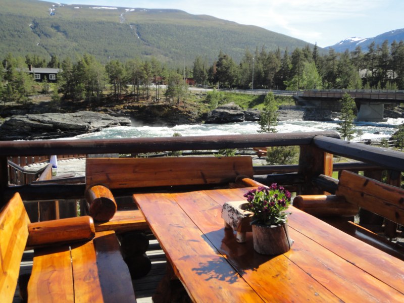 DSC05447 [800x600].jpg