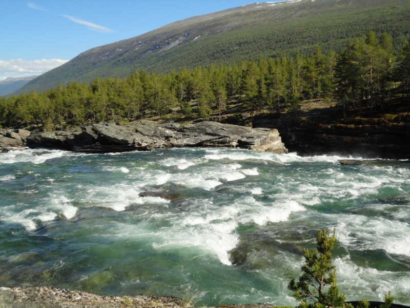 DSC05448 [800x600].jpg