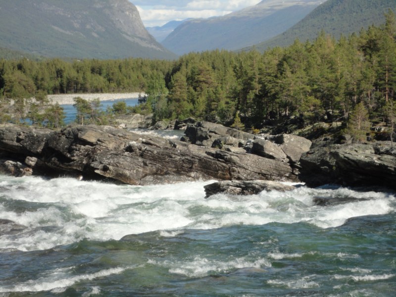 DSC05450 [800x600].jpg