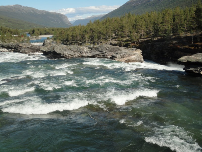 DSC05451 [800x600].jpg