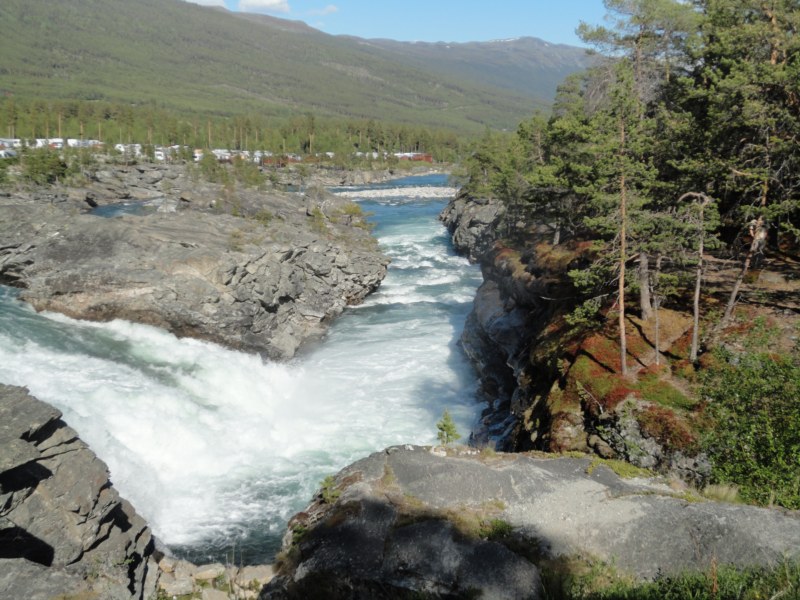 DSC05455 [800x600].jpg